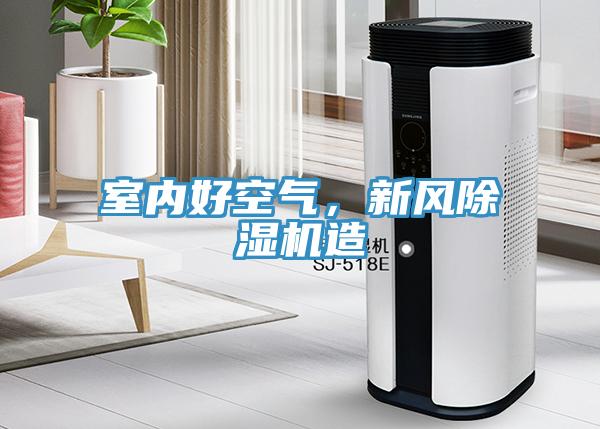 室內(nèi)好空氣，新風(fēng)除濕機(jī)造