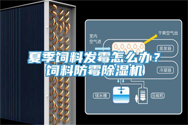 夏季飼料發(fā)霉怎么辦？飼料防霉除濕機(jī)