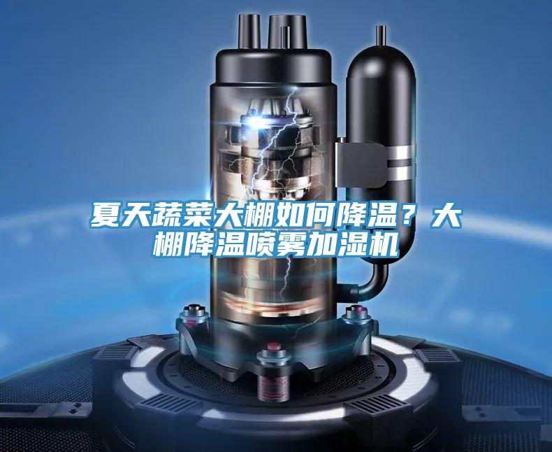 夏天蔬菜大棚如何降溫？大棚降溫噴霧加濕機