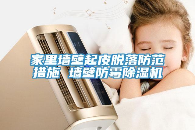 家里墻壁起皮脫落防范措施 墻壁防霉除濕機(jī)