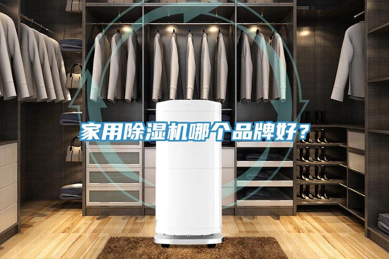 家用除濕機(jī)哪個(gè)品牌好？