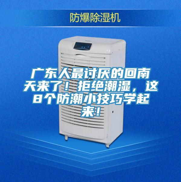 廣東人最討厭的回南天來了！拒絕潮濕，這8個(gè)防潮小技巧學(xué)起來！
