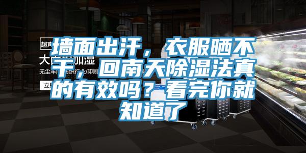墻面出汗，衣服曬不干，回南天除濕法真的有效嗎？看完你就知道了