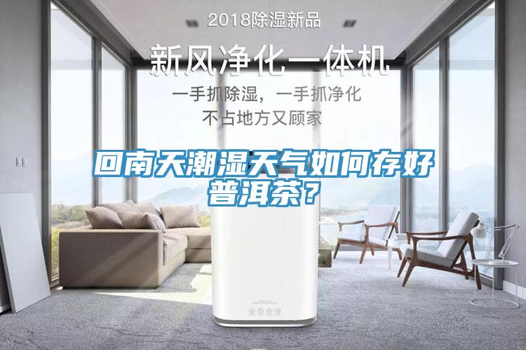 回南天潮濕天氣如何存好普洱茶？