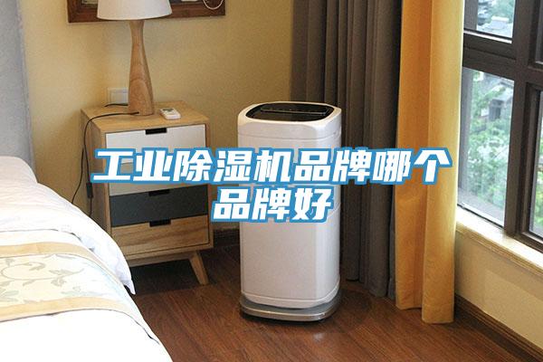 工業(yè)除濕機品牌哪個品牌好