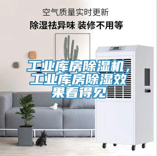 工業(yè)庫(kù)房除濕機(jī)，工業(yè)庫(kù)房除濕效果看得見