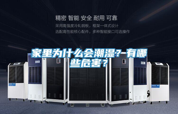 家里為什么會(huì)潮濕？有哪些危害？