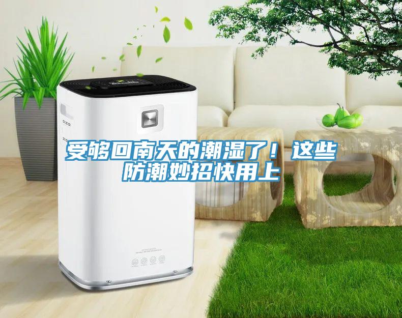 受夠回南天的潮濕了！這些防潮妙招快用上
