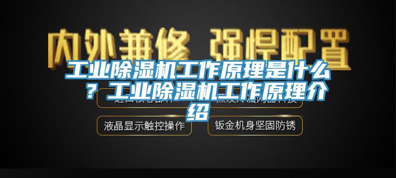工業(yè)除濕機(jī)工作原理是什么 ？工業(yè)除濕機(jī)工作原理介紹