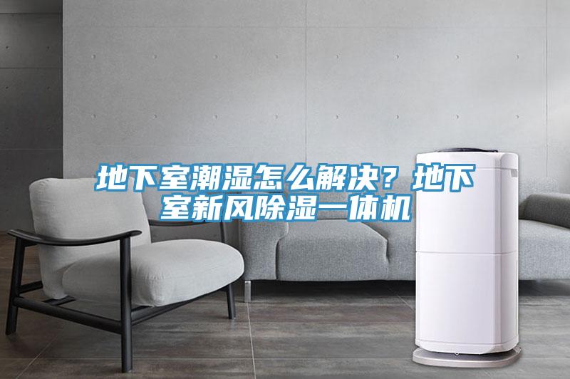 地下室潮濕怎么解決？地下室新風(fēng)除濕一體機(jī)