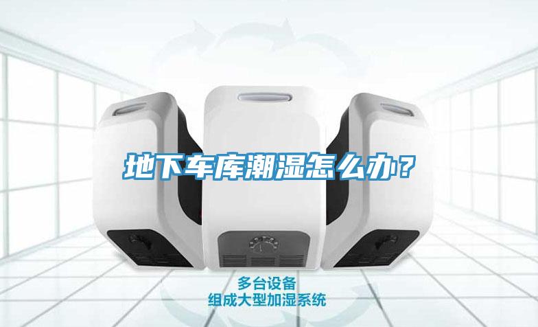 地下車庫(kù)潮濕怎么辦？