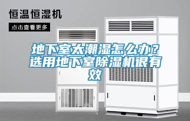 地下室太潮濕怎么辦？選用地下室除濕機(jī)很有效
