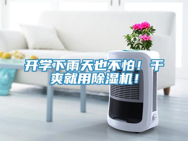 開(kāi)學(xué)下雨天也不怕！干爽就用除濕機(jī)！