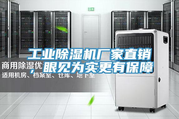 工業(yè)除濕機(jī)廠家直銷，眼見為實更有保障
