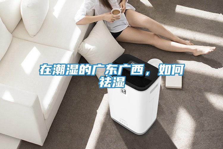 在潮濕的廣東廣西，如何祛濕