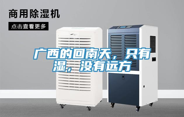 廣西的回南天，只有濕，沒有遠(yuǎn)方