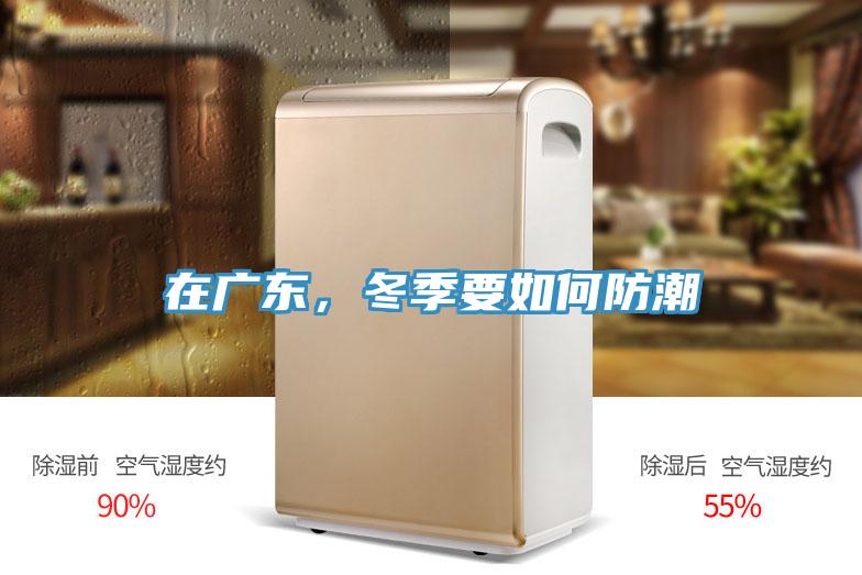 在廣東，冬季要如何防潮