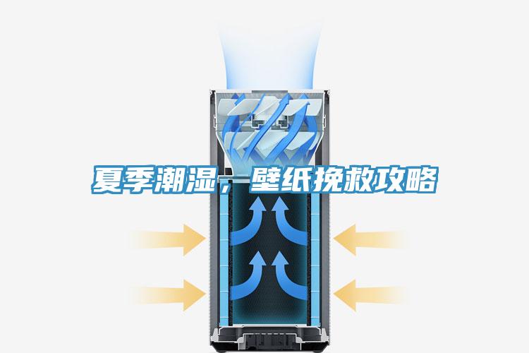 夏季潮濕，壁紙挽救攻略