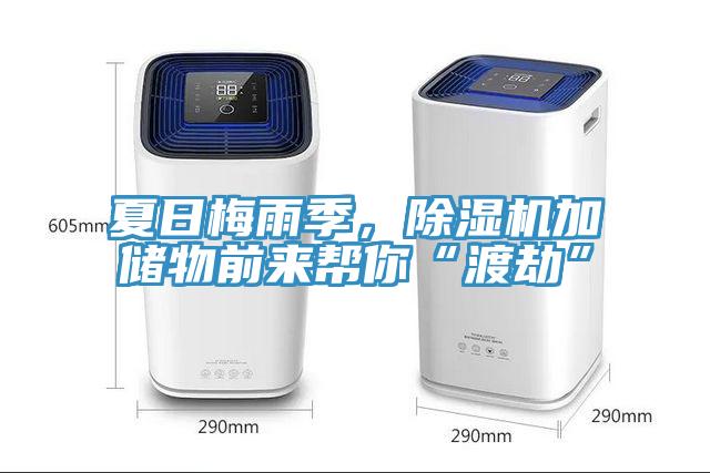 夏日梅雨季，除濕機(jī)加儲物前來幫你“渡劫”