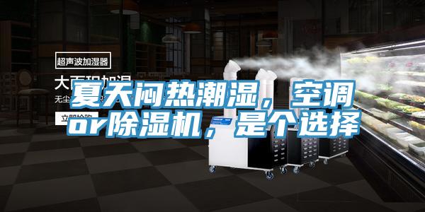 夏天悶熱潮濕，空調or除濕機，是個選擇