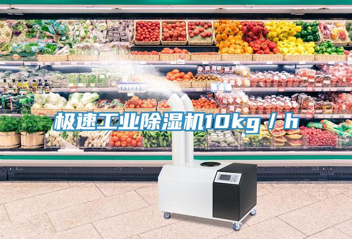 極速工業(yè)除濕機10kg／h