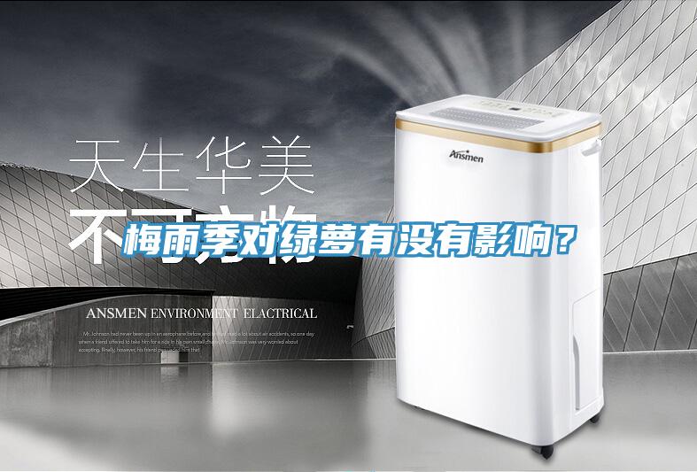 梅雨季對綠蘿有沒有影響？