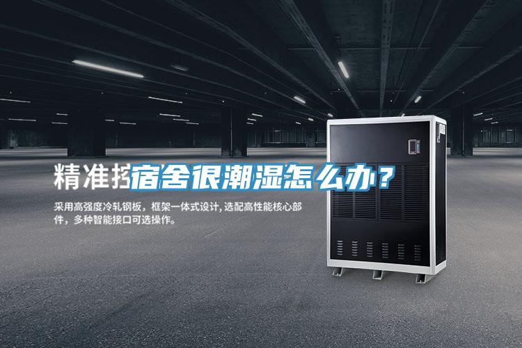 宿舍很潮濕怎么辦？