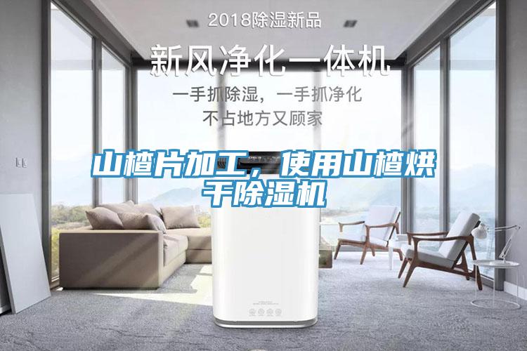 山楂片加工，使用山楂烘干除濕機(jī)