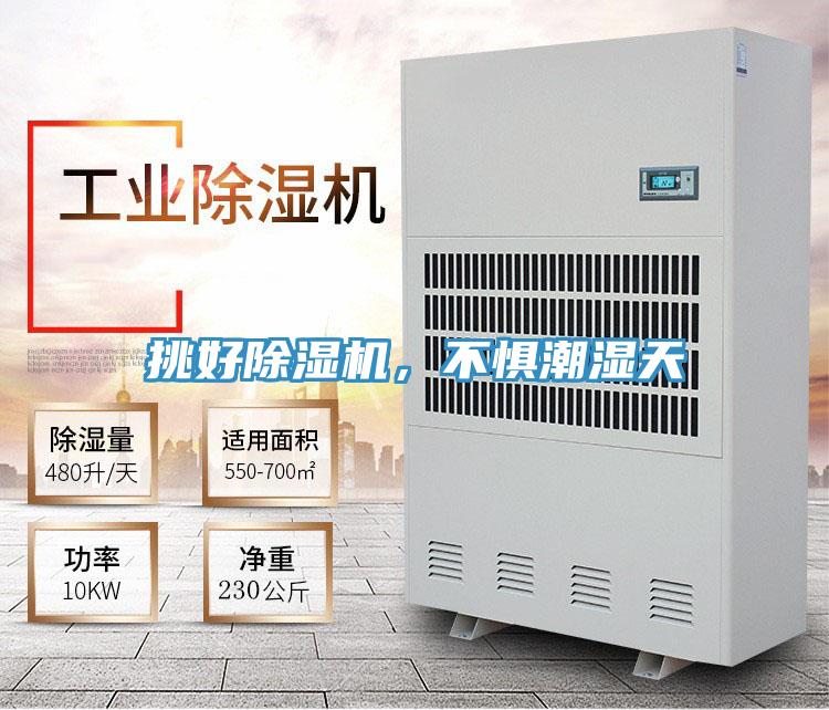 挑好除濕機，不懼潮濕天