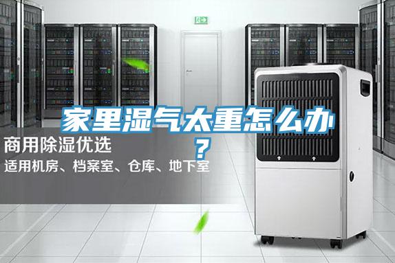 家里濕氣太重怎么辦？