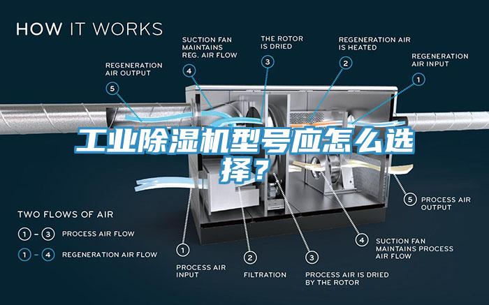 工業(yè)除濕機(jī)型號應(yīng)怎么選擇？