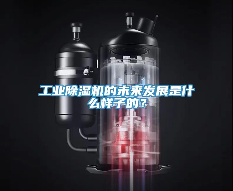 工業(yè)除濕機(jī)的未來發(fā)展是什么樣子的？