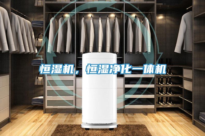 恒濕機(jī)，恒濕凈化一體機(jī)