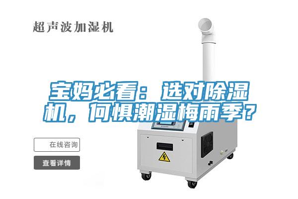 寶媽必看：選對除濕機(jī)，何懼潮濕梅雨季？