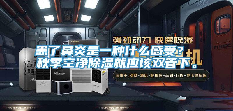 患了鼻炎是一種什么感受？ 秋季空凈除濕就應(yīng)該雙管下。