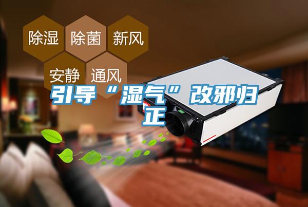 引導“濕氣”改邪歸正