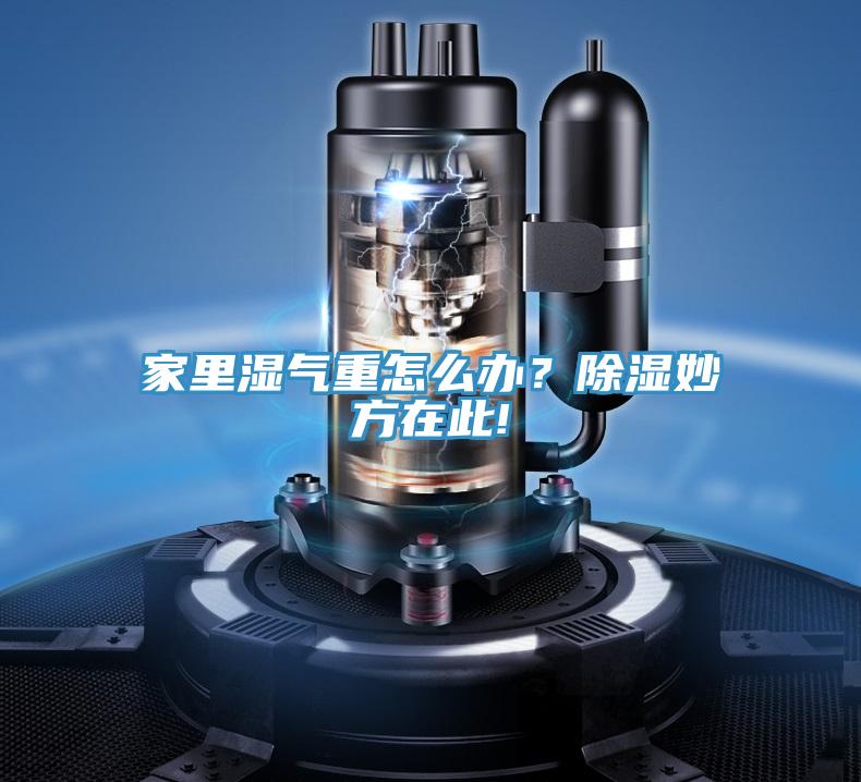 家里濕氣重怎么辦？除濕妙方在此!