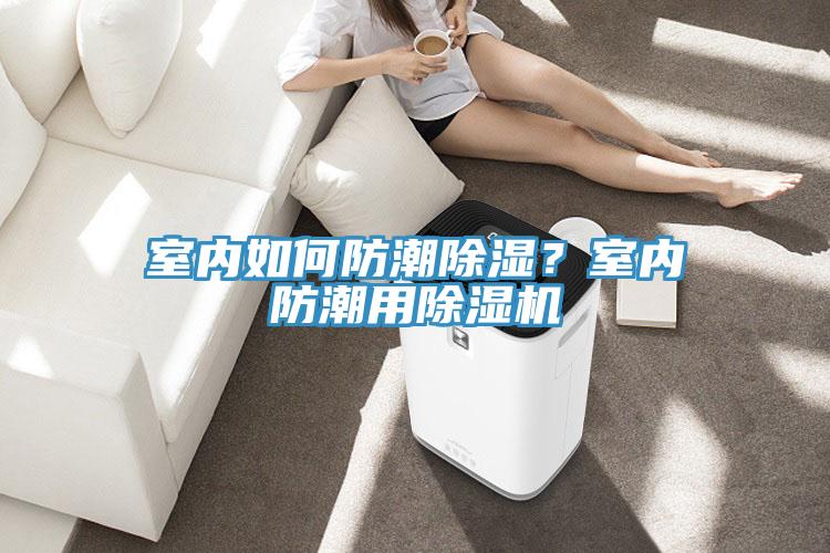 室內(nèi)如何防潮除濕？室內(nèi)防潮用除濕機