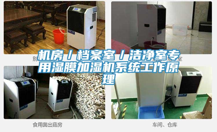 機(jī)房／檔案室／潔凈室專(zhuān)用濕膜加濕機(jī)系統(tǒng)工作原理