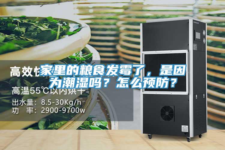 家里的糧食發(fā)霉了，是因為潮濕嗎？怎么預防？