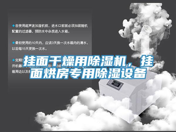 掛面干燥用除濕機(jī)，掛面烘房專用除濕設(shè)備