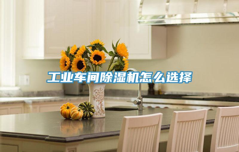 工業(yè)車間除濕機怎么選擇