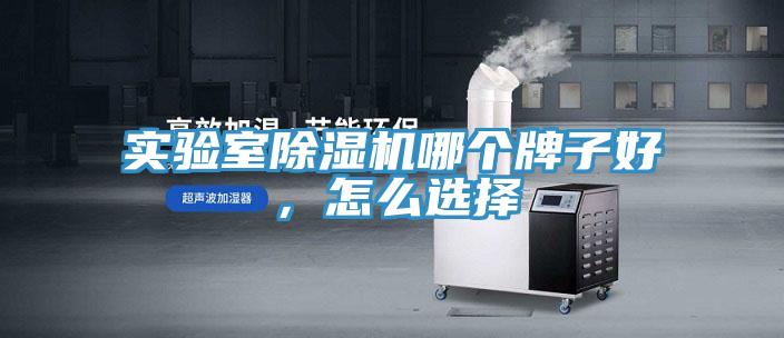 實(shí)驗(yàn)室除濕機(jī)哪個(gè)牌子好，怎么選擇