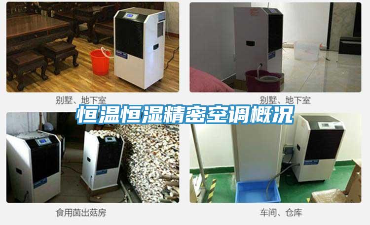 恒溫恒濕精密空調概況