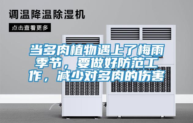當(dāng)多肉植物遇上了梅雨季節(jié)，要做好防范工作，減少對(duì)多肉的傷害