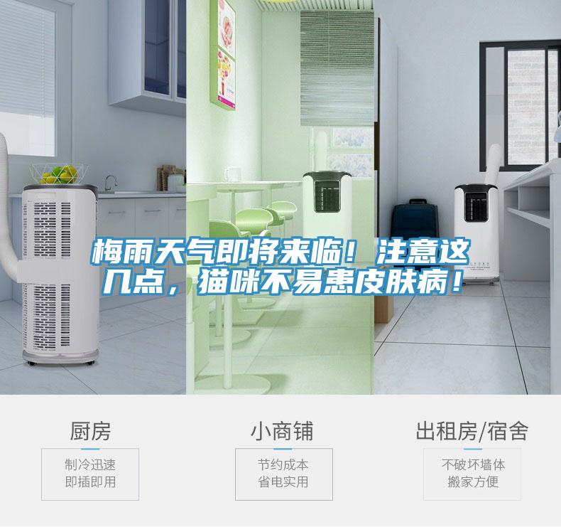 梅雨天氣即將來(lái)臨！注意這幾點(diǎn)，貓咪不易患皮膚??！