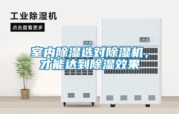 室內(nèi)除濕選對除濕機(jī)，才能達(dá)到除濕效果
