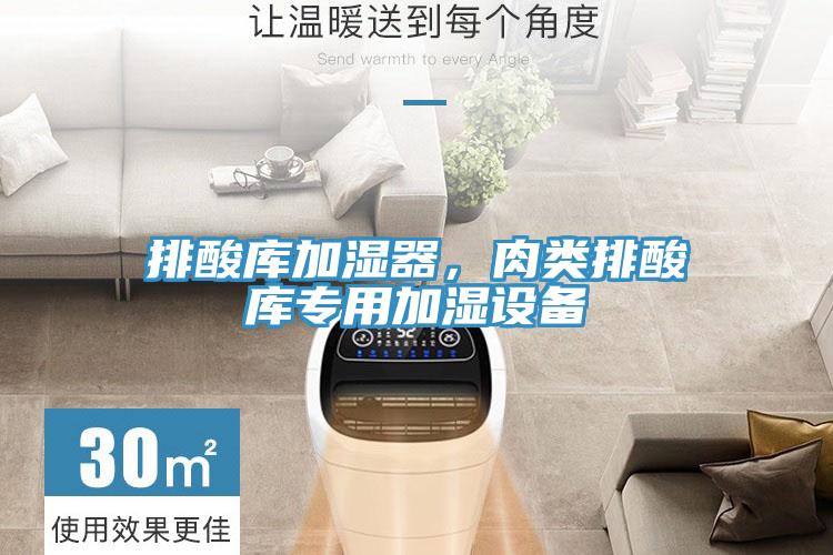 排酸庫(kù)加濕器，肉類排酸庫(kù)專用加濕設(shè)備