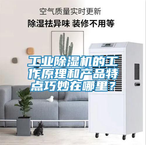 工業(yè)除濕機(jī)的工作原理和產(chǎn)品特點(diǎn)巧妙在哪里？