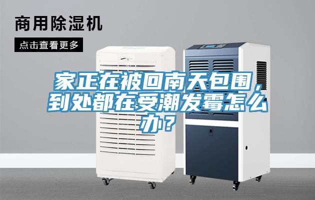 家正在被回南天包圍，到處都在受潮發(fā)霉怎么辦？